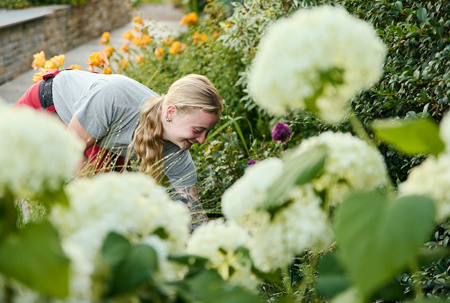 Mitarbeiterin arbeiten an Bepflanzung