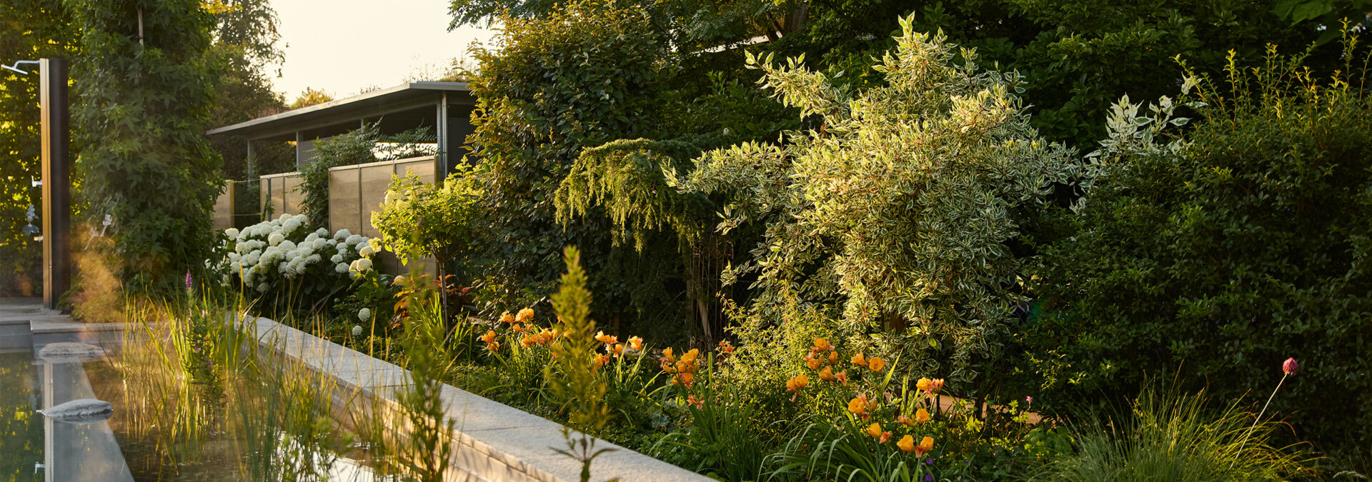 Naturpoolgarten mit Staudenpracht und moderner Technik