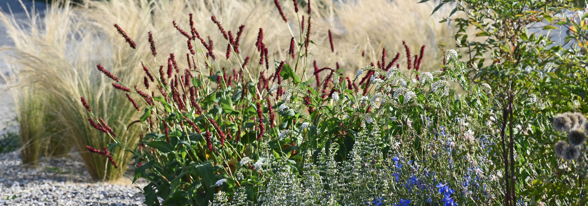 Harmonische Rabattenbepflanzung