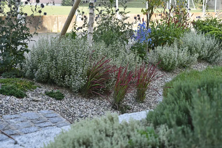 Rabatte mit Abdeckmaterial